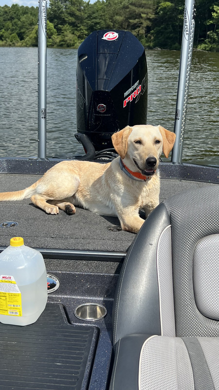 C4E4BFBC-F1CD-4C47-AFBC-8D9557D74C3B