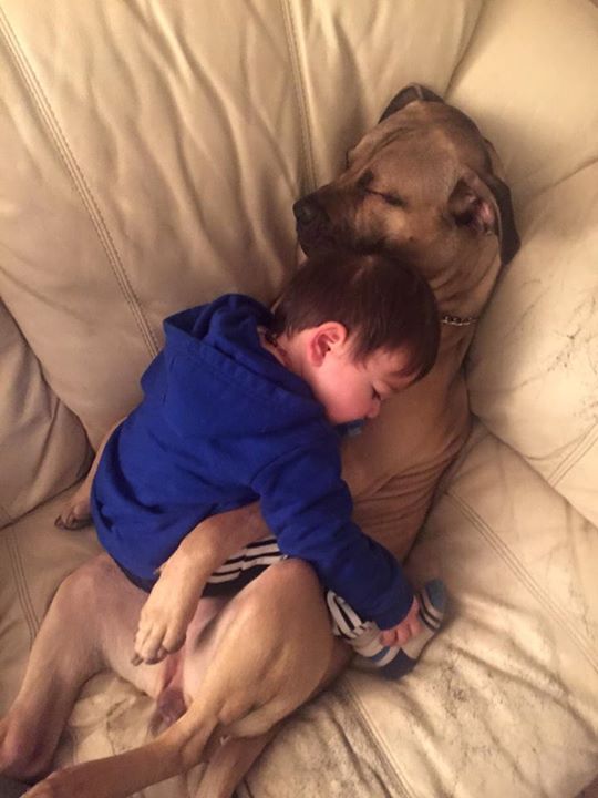mans-best-friend-20