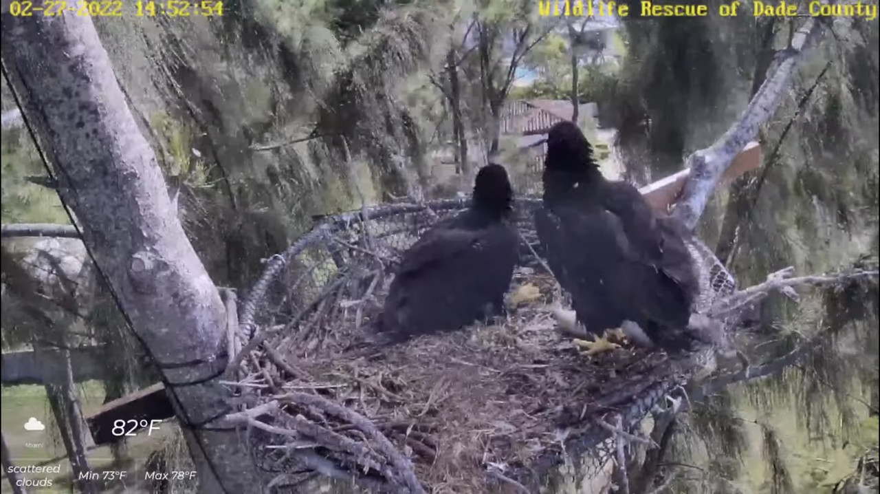 C688BC23-786F-4E02-9C50-C5277D032F2F