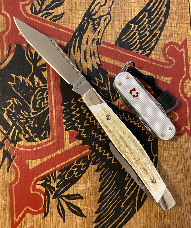 F3A33FC0-F832-4FA4-86E8-701481130B3F