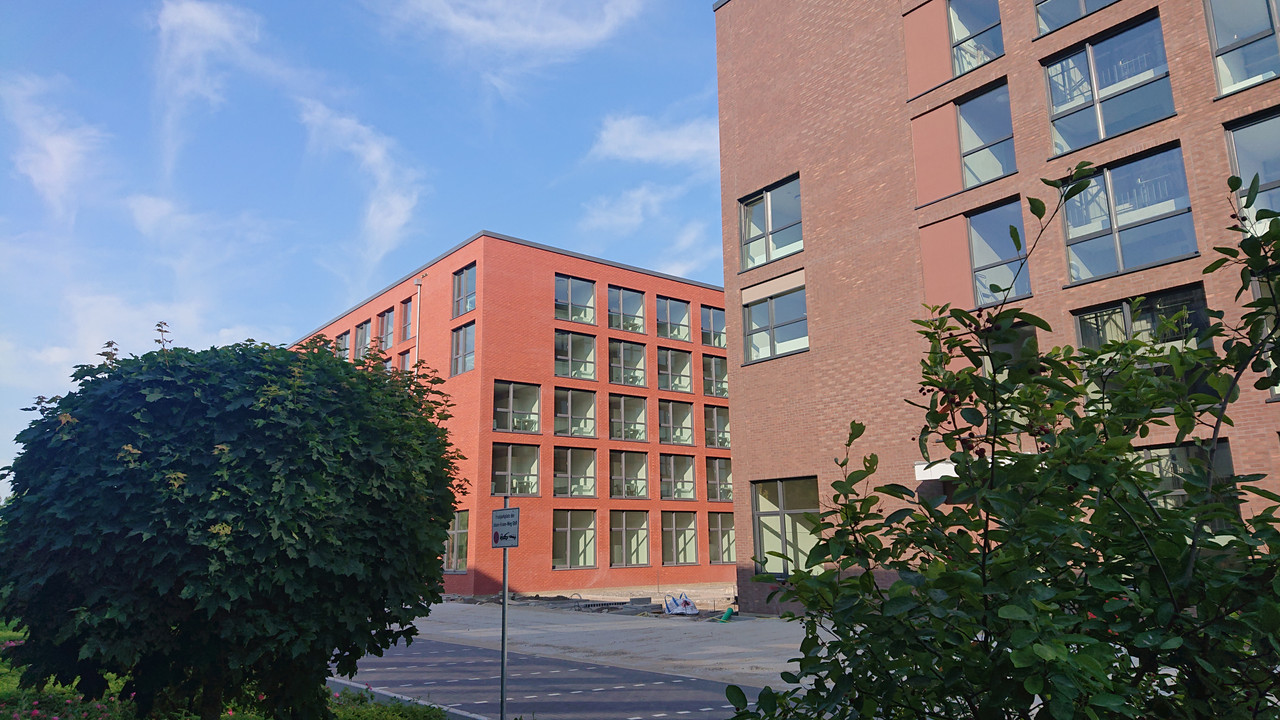 DSC-4115.jpg