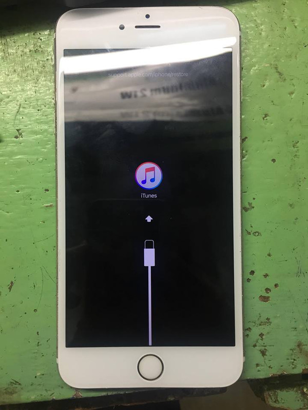 48414125-2204445733161768-8362682237371547648-n.jpg