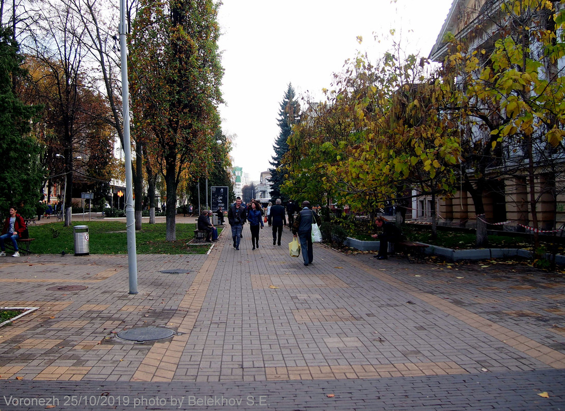 Воронеж, осень