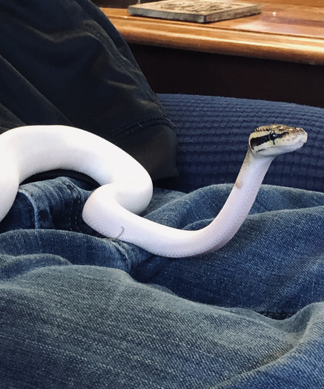 9ABDC117-8EFE-4A08-B181-E823077FE75D