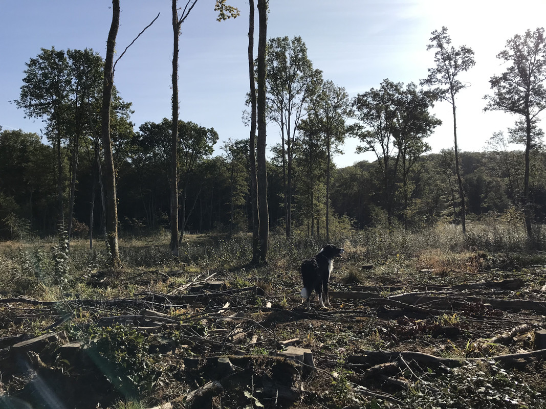 06EEA8AE-9334-4CDF-881C-55858F46DDBF