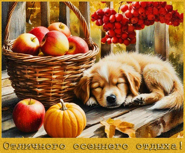 Отличного осеннего отдыха