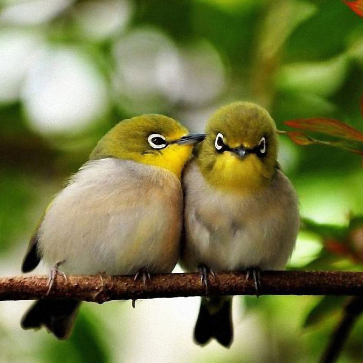 BOTAK189:  Website Terbaru: Tampilan Baru & Navigasi Lebih Mudah 2025