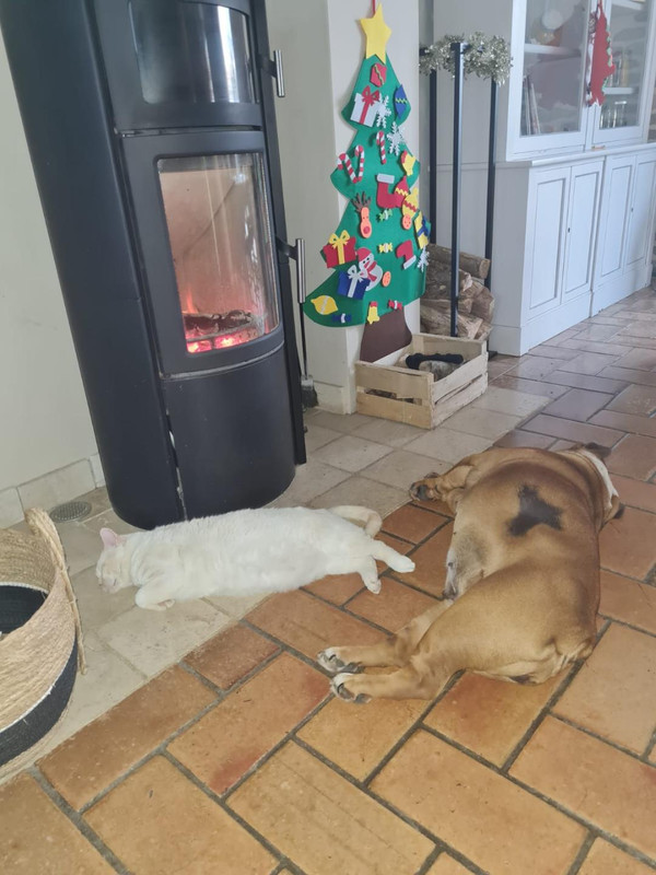 Biglouche - Décembre 2022