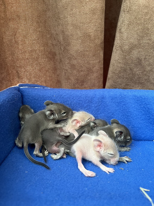 E4C771F6-2A7A-4260-A9FB-E4DAA7CE4ADE