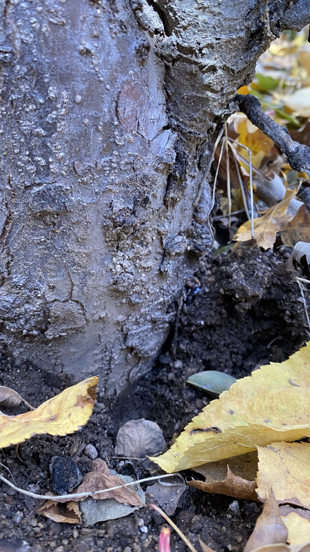 52CD6FC7-3CE5-4326-B56A-32EEB2B1E276