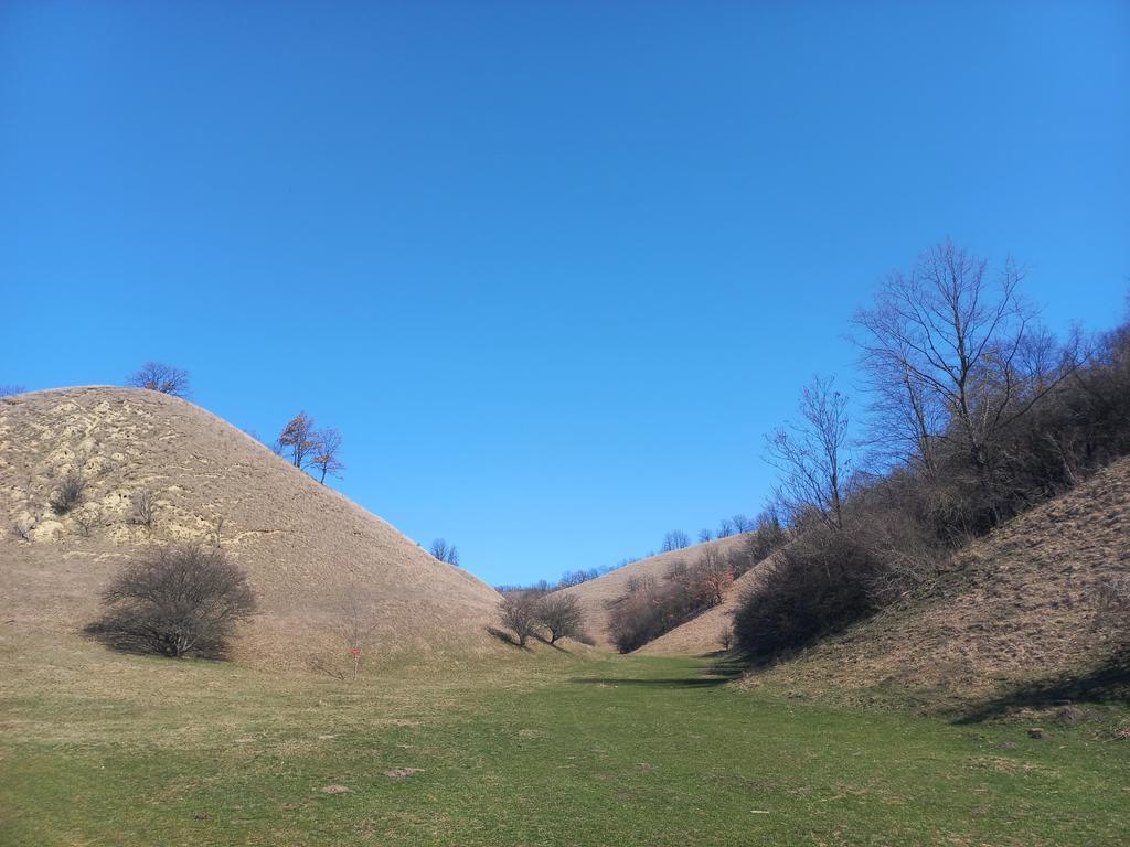 zgjc_(10).jpg