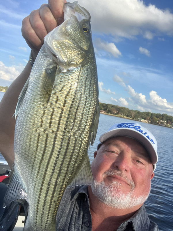 6BC99675-1911-418E-BCA5-42DAA4DEBAE4