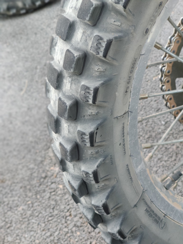 IMG_20221104_081507_Bokeh