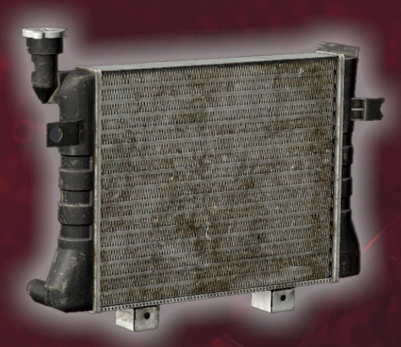 EVERY DAYZ MARKET
