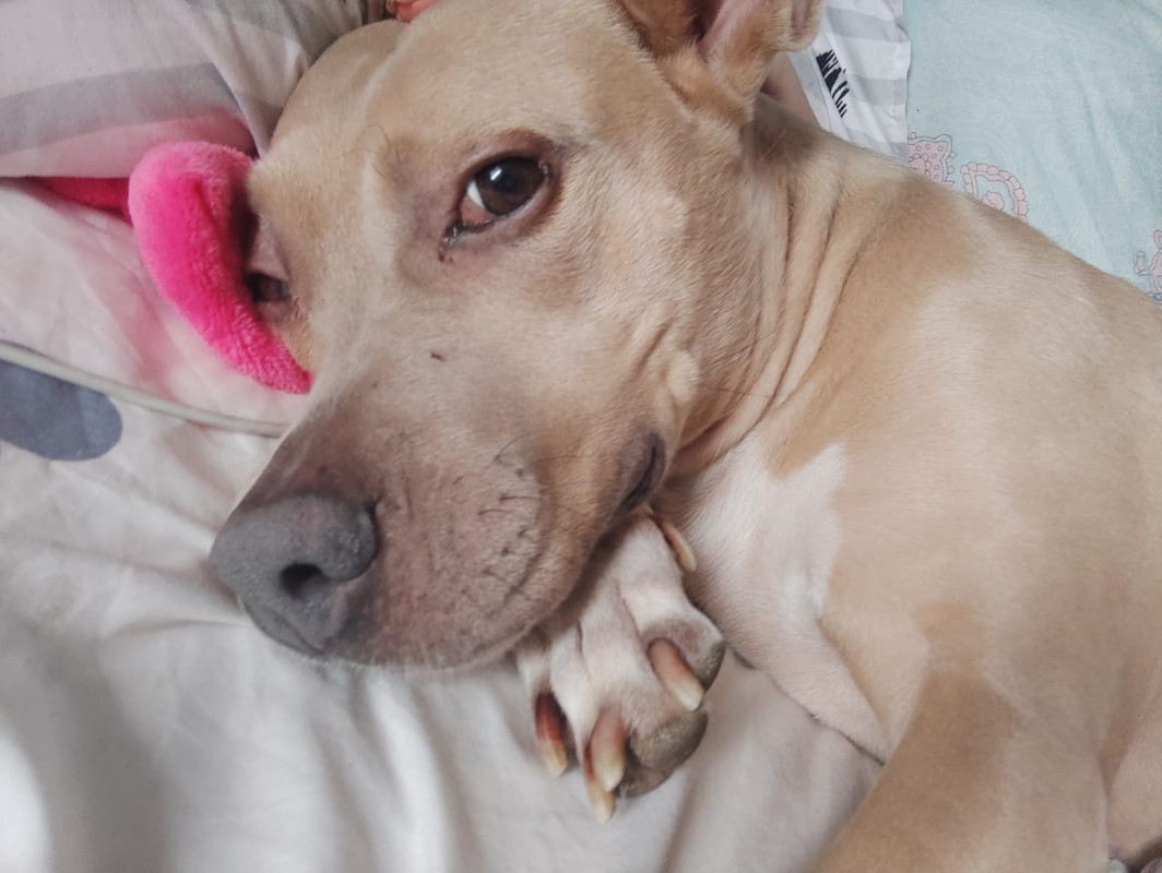 0FB2ED7F-9259-4633-9AA4-B6A0C289158A