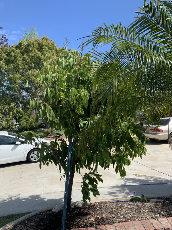 AFE1EA31-AE3D-43E3-8940-FFDADF1BA879