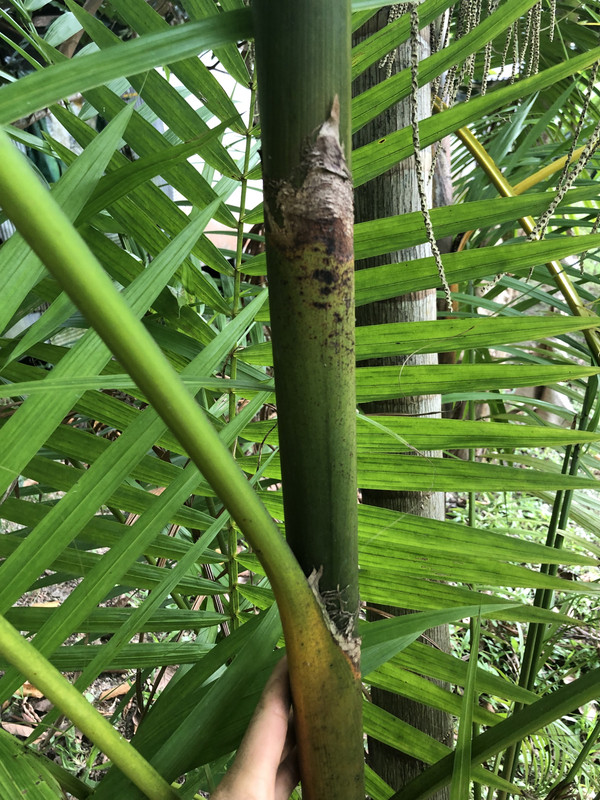 CD875B54-9A2B-4591-BB39-F180AC96CEA5