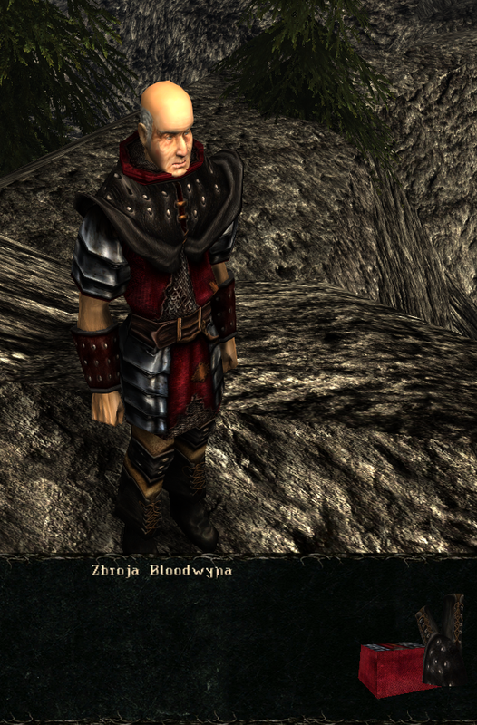 pancerze i ubrania (18)