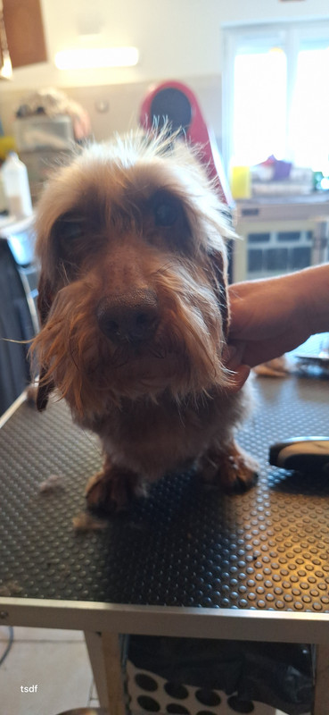 [Image: 20250305-113844.jpg]