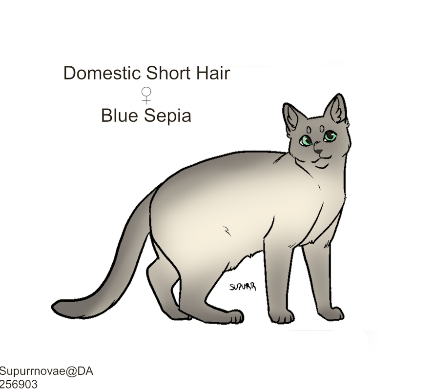 Blue-Sepia-DSH-F.png