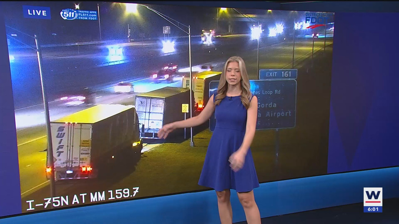 WINK News at 600am_20250109_11001130.ts_snapshot_02.44.129