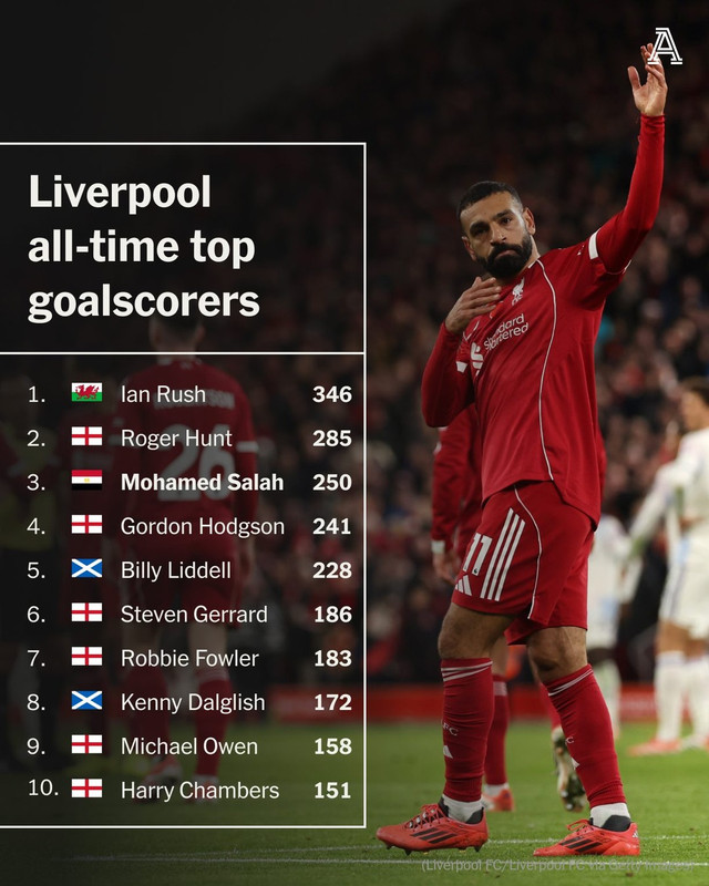 Save-Vid-Net-573548287-18113010931564293-257236397938132662-n