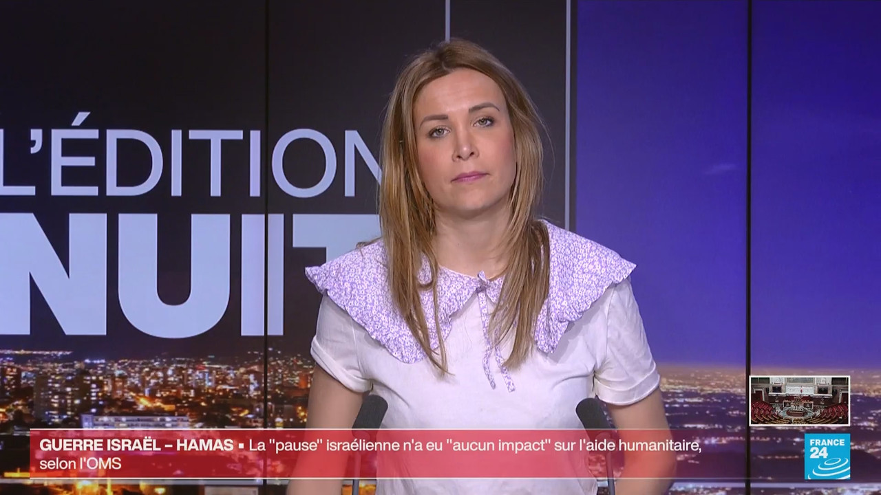Le journal France 24 (FR) (France 24)_2024_06_22_03_55_19.ts_snapshot_09.24.630