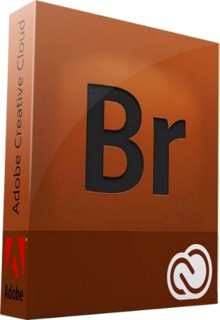 Adobe Bridge 2020 v10.1.0.163 (x64) Multilingual