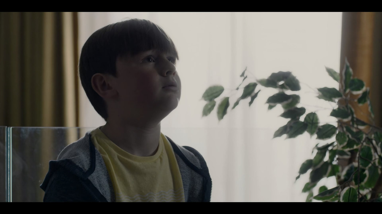 Breeders (2020) S01E09 No Cure (1) (1080p AMZN WEB-DL x265 10bit EAC3 5.1 - HxD) [TAoE].mkv_20200423