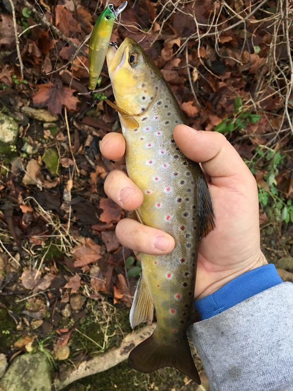 AFAA80EF-B999-4C78-9410-06B9C40031B1