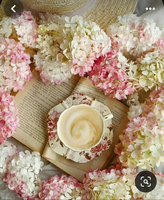 Screenshot_20230905_011641_Pinterest