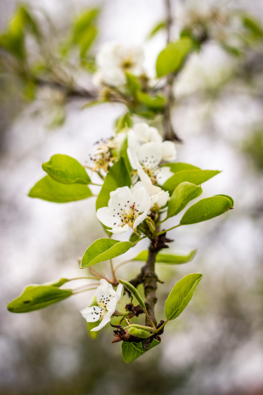 9916EEA9-E9A5-4FA6-8C63-F87DDA5780B2