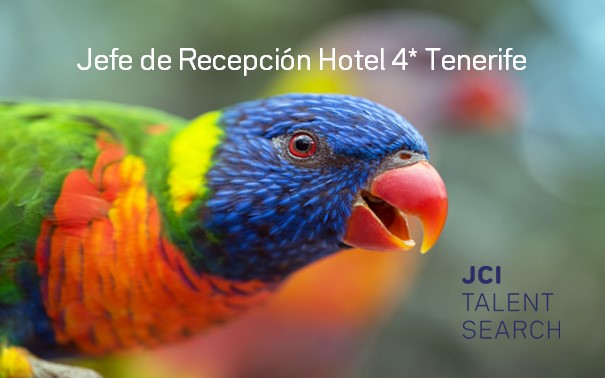 Jefe de Recepción Hotel 4* Tenerife