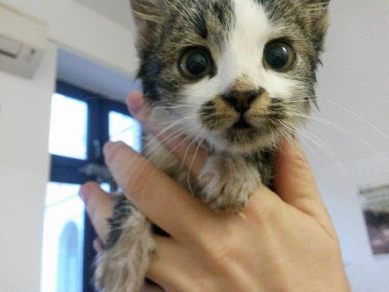 134089761_10221417325239974_458249348605737108_n