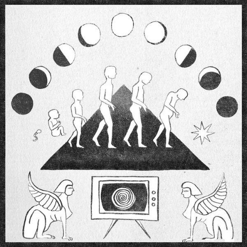 Bill-Baird-Life-Creates-Itself-WEB-2026-
