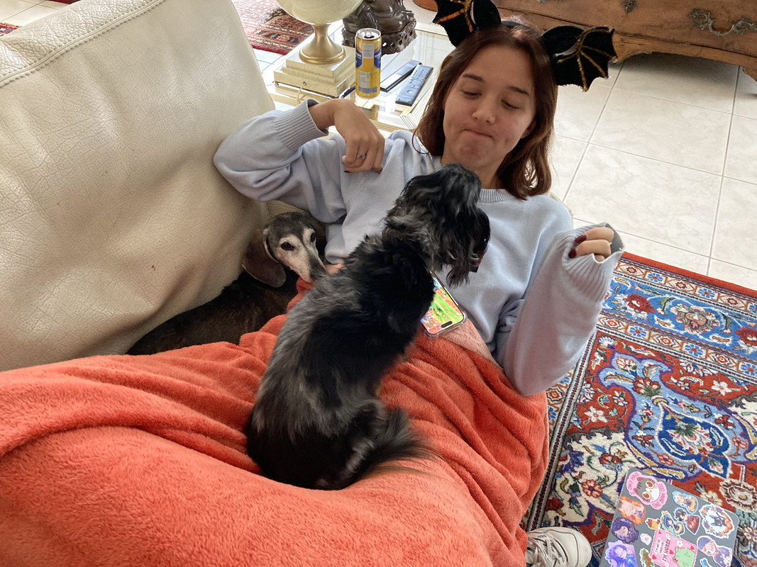 [Image: IMG-3963.jpg]