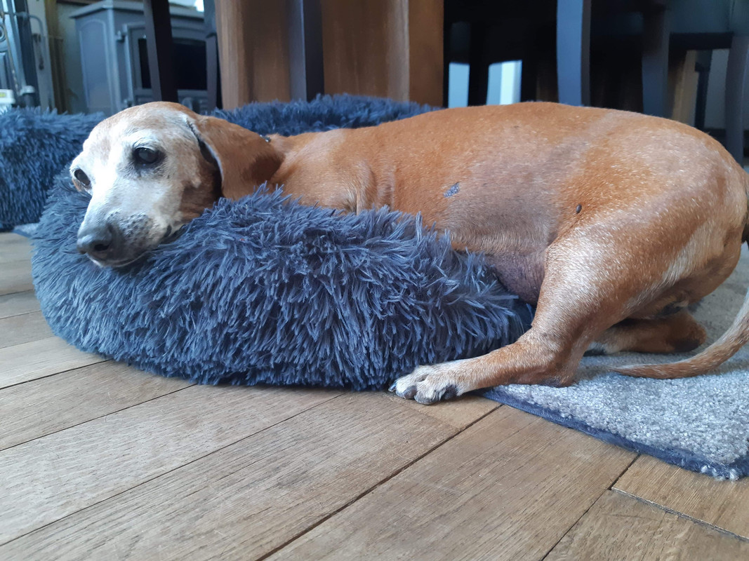 [Image: E07-EDA57-03-B2-4-B61-BB68-EFB0-AC5-ABBC0.jpg]