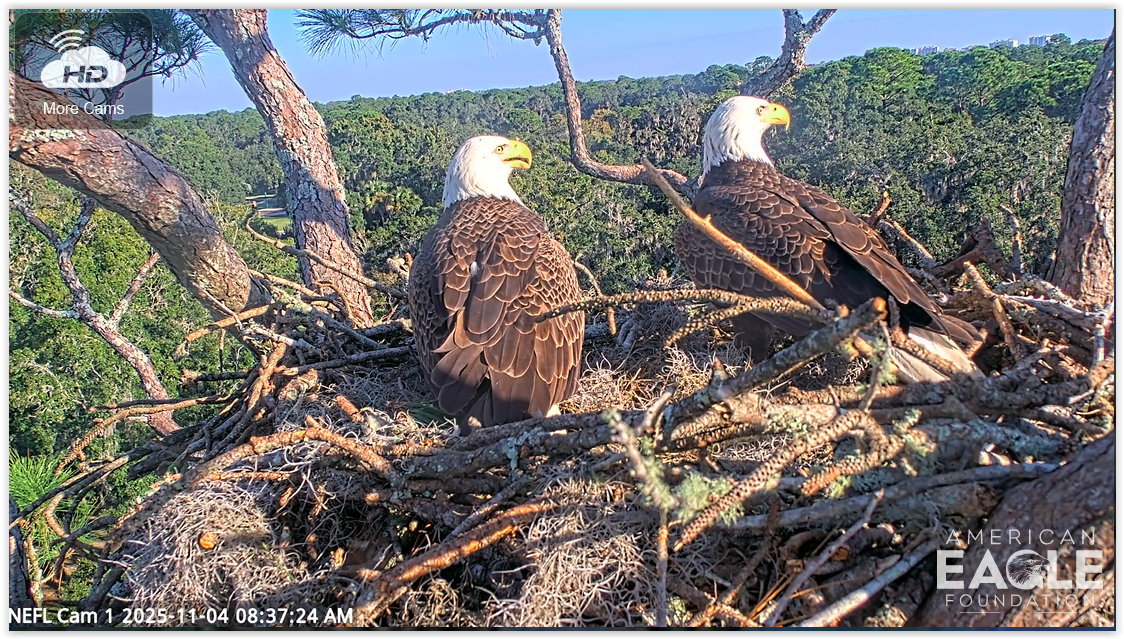 Screen Shot 11 04 25 at 02 41 PM