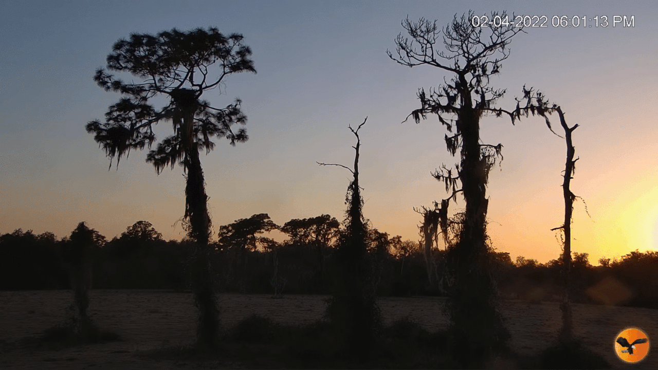 Webp.net-gifmaker (3)