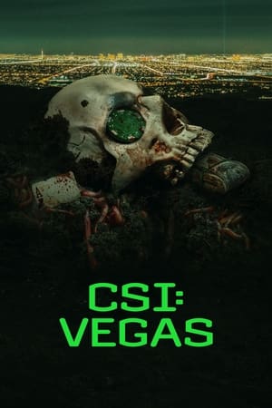 CSI Vegas S03E08 XviD-AFG