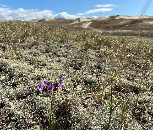 382583-EF-5-CFF-41-AE-A55-F-AFDD46-CC93-