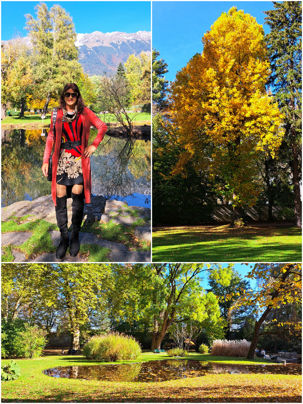 Externes Bild, es gelten die Datenschutz- und Nutzungsbestimmungen der ausgewählten Seite.