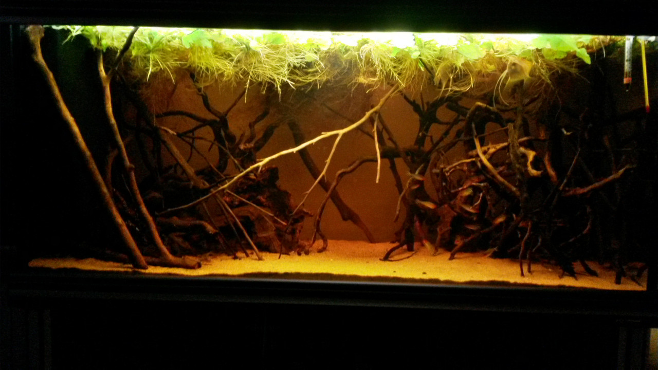 20140417_112528_Richtone(HDR)