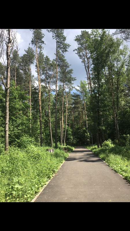 27A7D5B9-C38F-4EF6-ADBB-6DEB352E1767