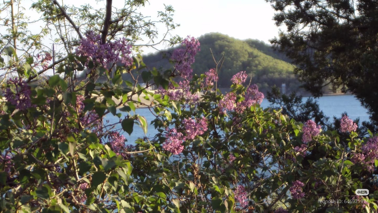 photo 1 2026 01 03 21 19 51