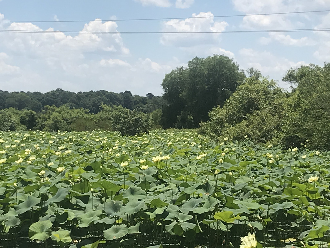 74204945-B578-43D6-989E-A3018D40D38D