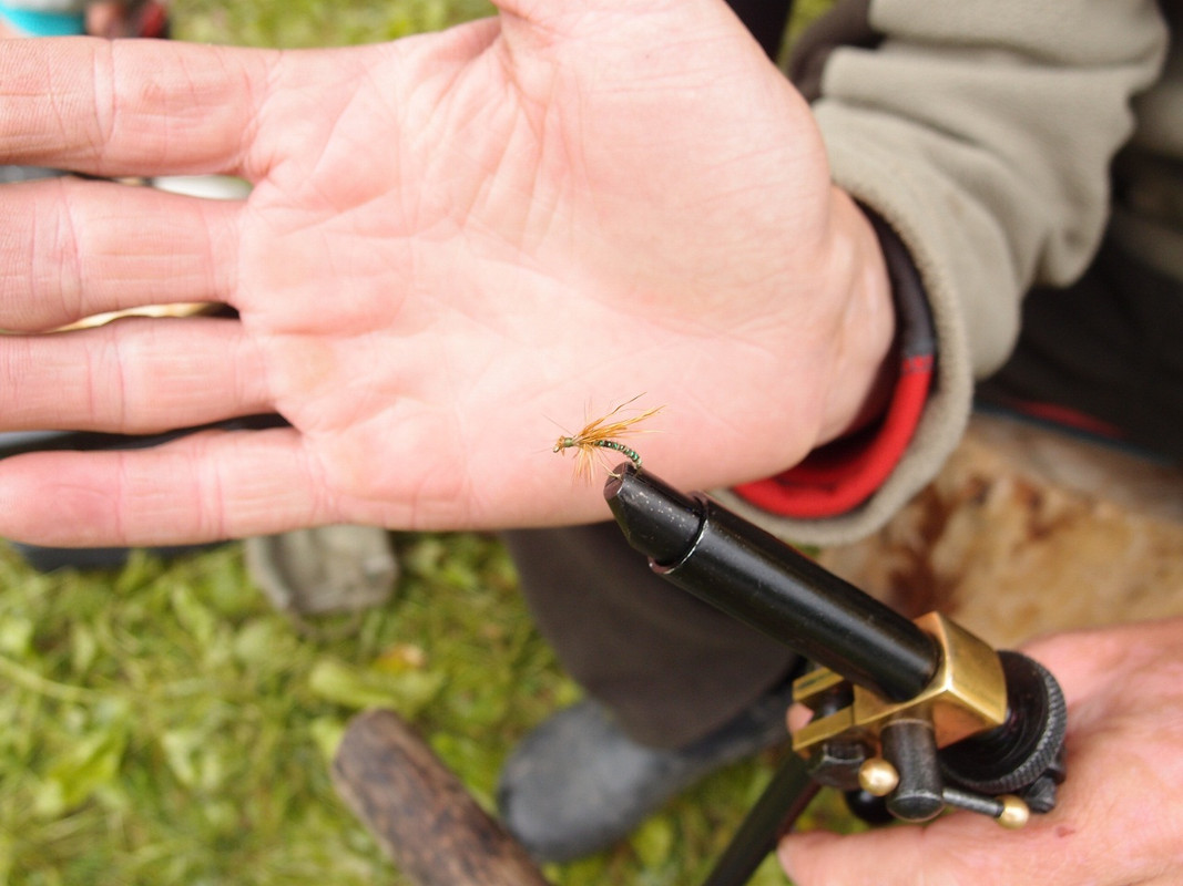 ручейник ловчий