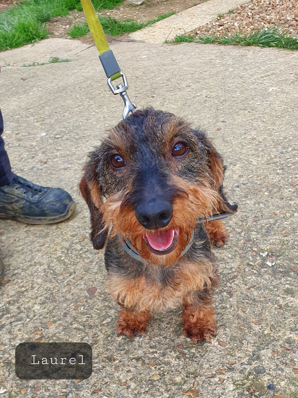 [Image: 20221028-204929.jpg]