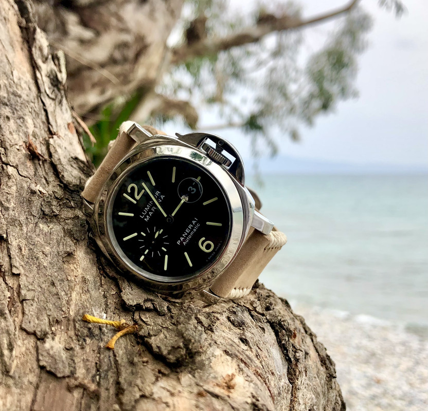 A85F966A-9462-4726-913C-3033B9396197