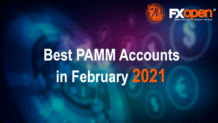 https://i.postimg.cc/J7G6f1SQ/pamm-review-february-2021.jpg